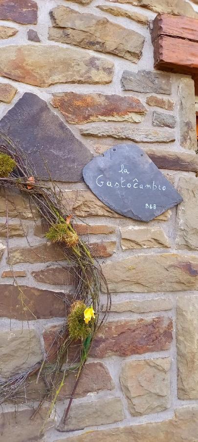 La Gastocambro Bed and Breakfast Butgenbach Buitenkant foto